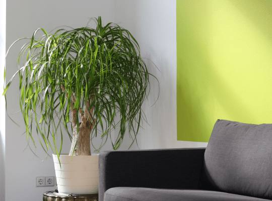 Lire la suite à propos de l’article Color Coordination: All About The Details