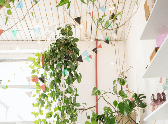 Lire la suite à propos de l’article Natural Element Photography